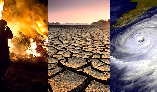 climate change effects