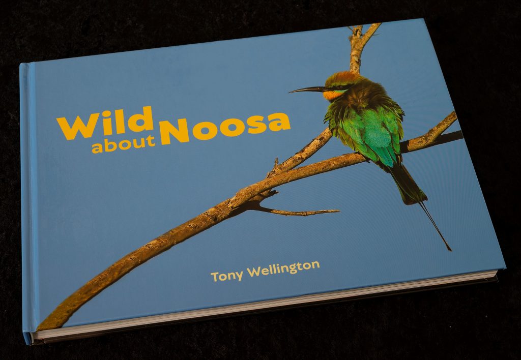 Wild About Noosa book cover, Tony Wellington