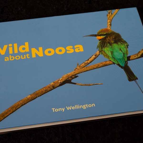 Wild About Noosa book cover, Tony Wellington