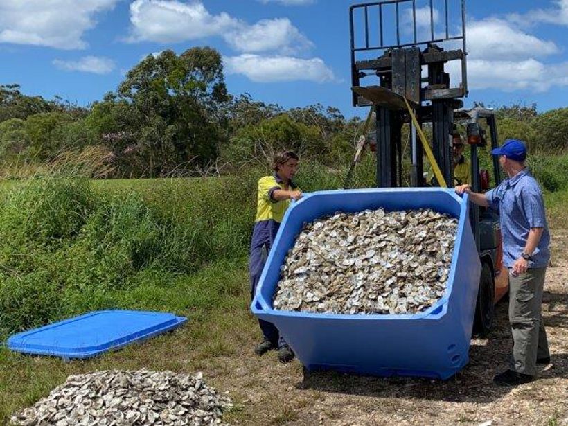 RECYCLED SHELLS Noosa's first load of recycled shells delivered to the curing site © Noosa Shire Council