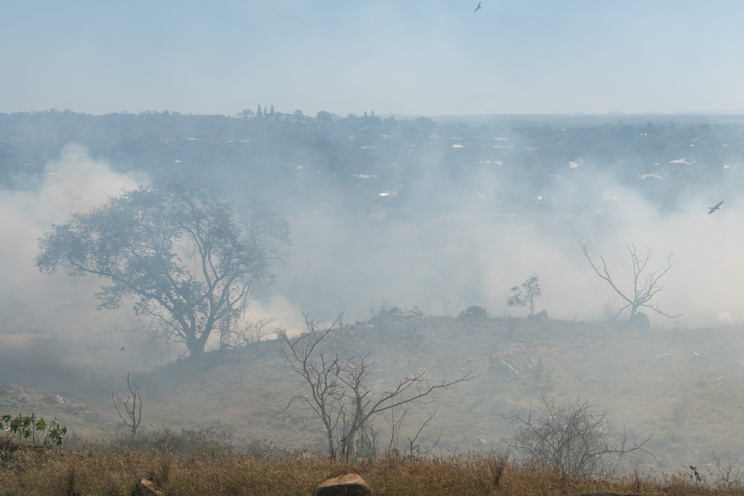 Bushfires have impacted the health of many Queenslanders.