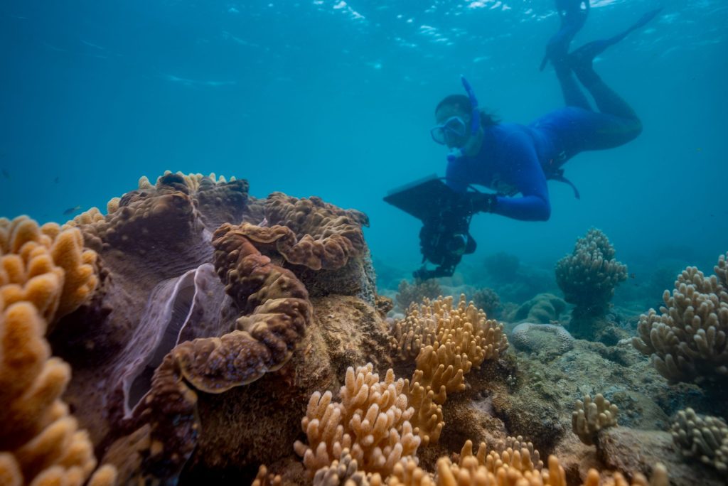 Reef Check Australia, citizen scientist. Credit Ben & Di